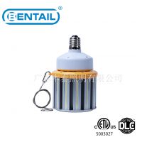 LED׵ BTCL-503100