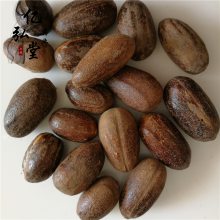香果树价格 长香果批发 香料圆香果