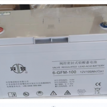 ˫Ǧ6-GFM-100 12V100AH (C20)