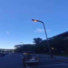 成都路灯厂 资阳LED市电路灯 宜宾广场道路单双臂路灯杆