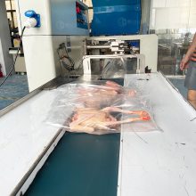 勇川牌速冻鸭子包装机生鲜封装机