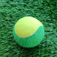 中小学训练网球初学者高弹性耐打网球子耐磨初中级比赛专用宠物球