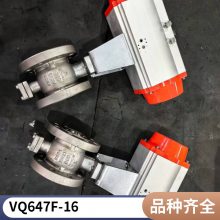 VQ647F-16P DN300 V ߴȫ