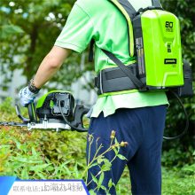 80Vذgreenworksݻ