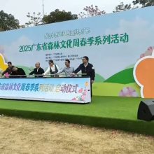 西安提供庆典宝盒，提供启动手掌印，提供LED启动球