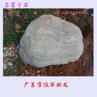 ѩʯ ͥԺ쾰õľʯ 㶫ѩʯ-ʯ7