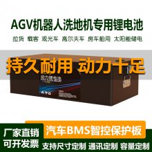 AGV䴢﮵48V80Ah־ù綯ǿ