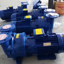 淄博2BV水环式真空泵 工业用高真空水循环真空泵压缩机 水环式真空机组