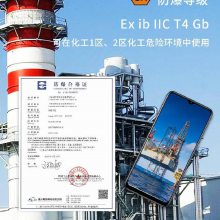 双卡5G化工防爆手机电池容量约5000mAh