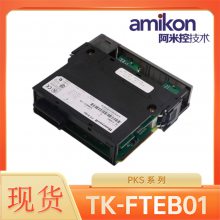 ģTK-FTEBO1ʡֱ