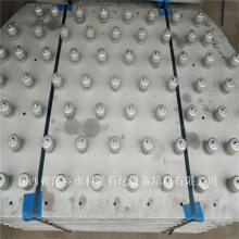 脱氨塔（塔盘板) 蒸氨塔塔内件 焦化厂脱硫塔轻瓷填料 瓷塑填料厂家