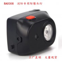 BAD308E⹤LEDˮͷ