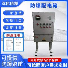 厂家定制 立式防爆焊接配电柜 防爆检修箱 防爆控制箱