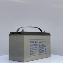 ʿDJM12100SʽǦ12V100AHUPS/EPSֱ