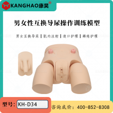 男女性互换导尿操作训练模型