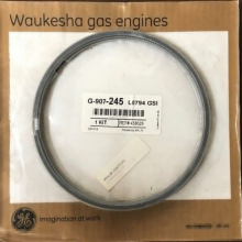 ߿Waukesha12V-AT27GLȼƬ