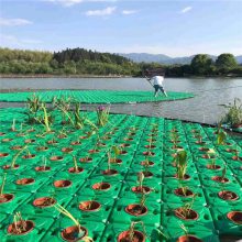 出售人工浮岛材料 生态浮岛施工方案 人工生态浮床厂家批发电话 浮岛作用效果图