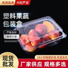 果蔬包装透明塑料盒 水果店干鲜水果分装盒 一次性保鲜水果盒