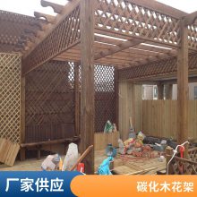 园林爬藤长廊架防腐木葡萄架庭院绿化设计碳化木花架景观施工