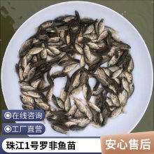 ޷ ֳ޷޷͵ ޷ˮ