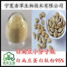 白扁豆蛋白肽85% 白扁豆熟粉80目 白扁豆低聚肽粉