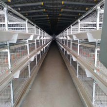 三层肉鸡鸡笼全自动养殖设备H型笼具自动清粪热镀锌工艺