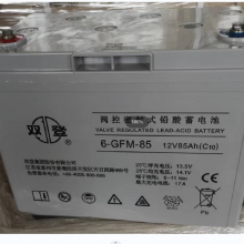 ˫ ܷʽǦ 6-GFM-85 (C20)