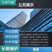 双联弹簧式安全阀 单向 铸钢材质使用寿命长 美国ROSS港