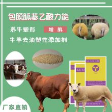 肉牛技术详解 肉 牛催 肥绝招和催肥方法 包膜胍基乙酸 快速塑型增重