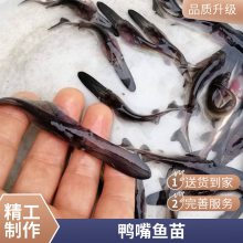 ۷ˮ Ѽ Ѽ Ѽ繫䵽