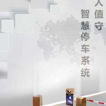 ͨ����TDW-TS888�߶˳���ʶ�𣬹�洫ýϵͳ