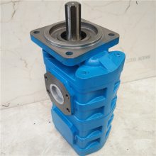 1163142037I 石煤随车吊双联泵