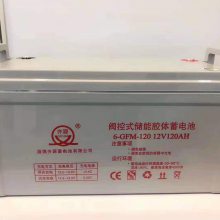 ˷늳NP12-65OC 12V6***HgԴUPS늳