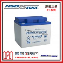 PowerSonicPG-12V65 B 12V65AH ʽVRLAǦά