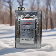 ڳС DZ-3/Z1м̵ AC110V  Եѹˮƽ