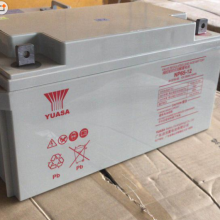ǳ12V100AH NP100-12 Ǧά