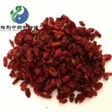 山茱萸药用用法及用量 枣皮药用有什么药效