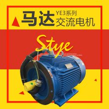 ԭYE2-355M-4T1-220KWsC(j)(q)R_(d)YE3/YE4/YE5SF1.2