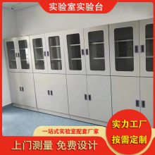 山 东鑫广实验台厂家全钢器皿柜化学品柜 存储柜