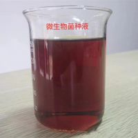    ϴ ζ 