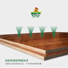 供应维尼熊免漆生态板 没有变形的实木多层板 柜体板直供