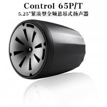 JBL Control62P ʽ컨װ