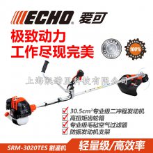 ECHOSRM-3020TES¿ݻ ԭװ̿ĸݳݻ