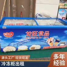 重庆商用冷冻保鲜厨房冷藏柜 卧式单温雪糕新型冰箱租赁