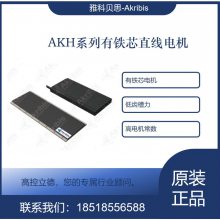 ֱAKH100-N-L-B2AWM3-TL300¼Akribis