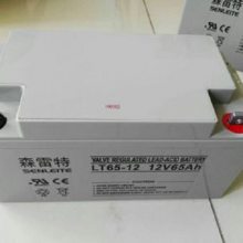 ӦɭLT200-12 12V200AH  糧ô