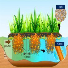 水处理之生物化学法