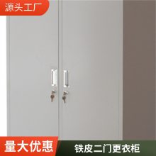 大空间现代简约钢制二门更衣柜 家庭用防火防磁两层置物柜