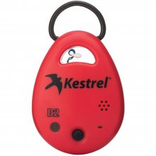 NK/kestrelʪȼ¼D1 D2