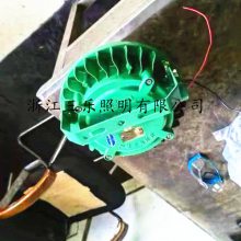 øLEDӦƣ DGS50/127LW AC127V DGC50֧ܵ